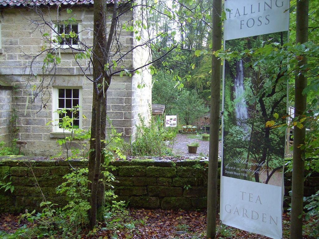 Thorpe Green House Vegetarian Bed & Breakfast Robin Hood's Bay Esterno foto