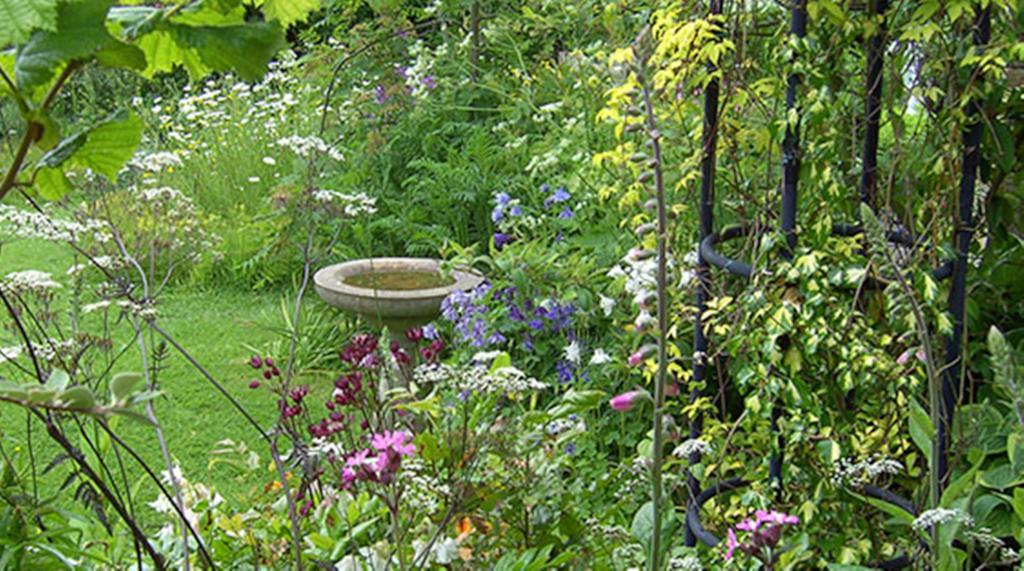 Thorpe Green House Vegetarian Bed & Breakfast Robin Hood's Bay Esterno foto
