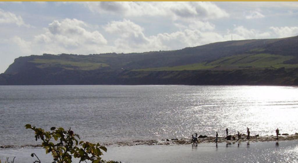 Thorpe Green House Vegetarian Bed & Breakfast Robin Hood's Bay Esterno foto