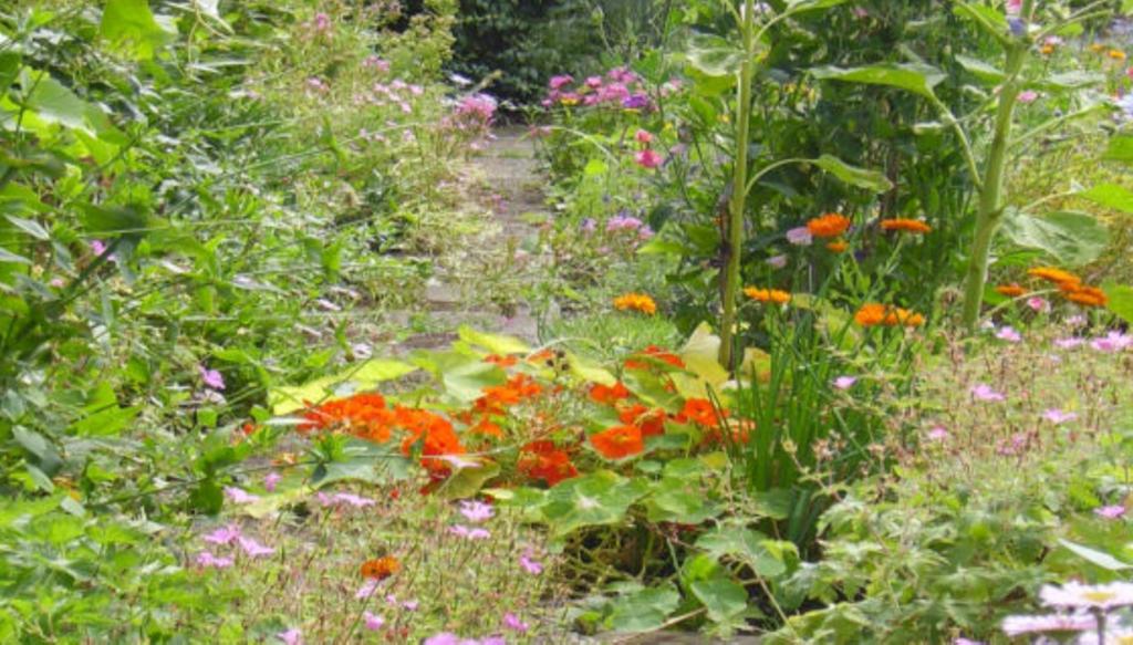 Thorpe Green House Vegetarian Bed & Breakfast Robin Hood's Bay Esterno foto