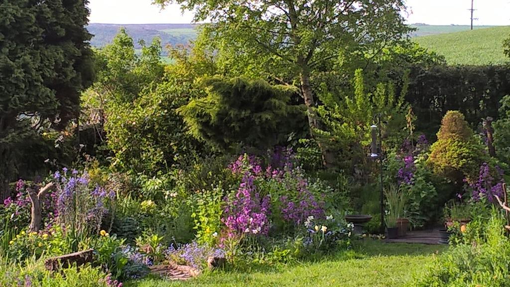 Thorpe Green House Vegetarian Bed & Breakfast Robin Hood's Bay Esterno foto