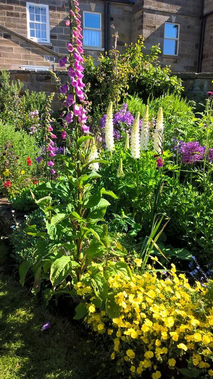 Thorpe Green House Vegetarian Bed & Breakfast Robin Hood's Bay Esterno foto