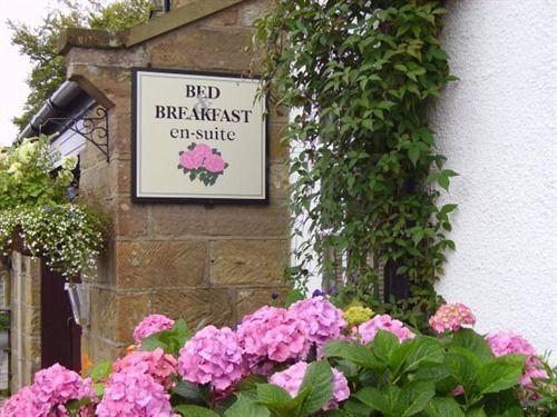 Thorpe Green House Vegetarian Bed & Breakfast Robin Hood's Bay Esterno foto