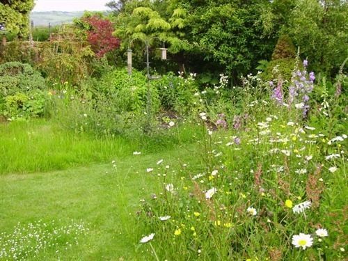 Thorpe Green House Vegetarian Bed & Breakfast Robin Hood's Bay Esterno foto